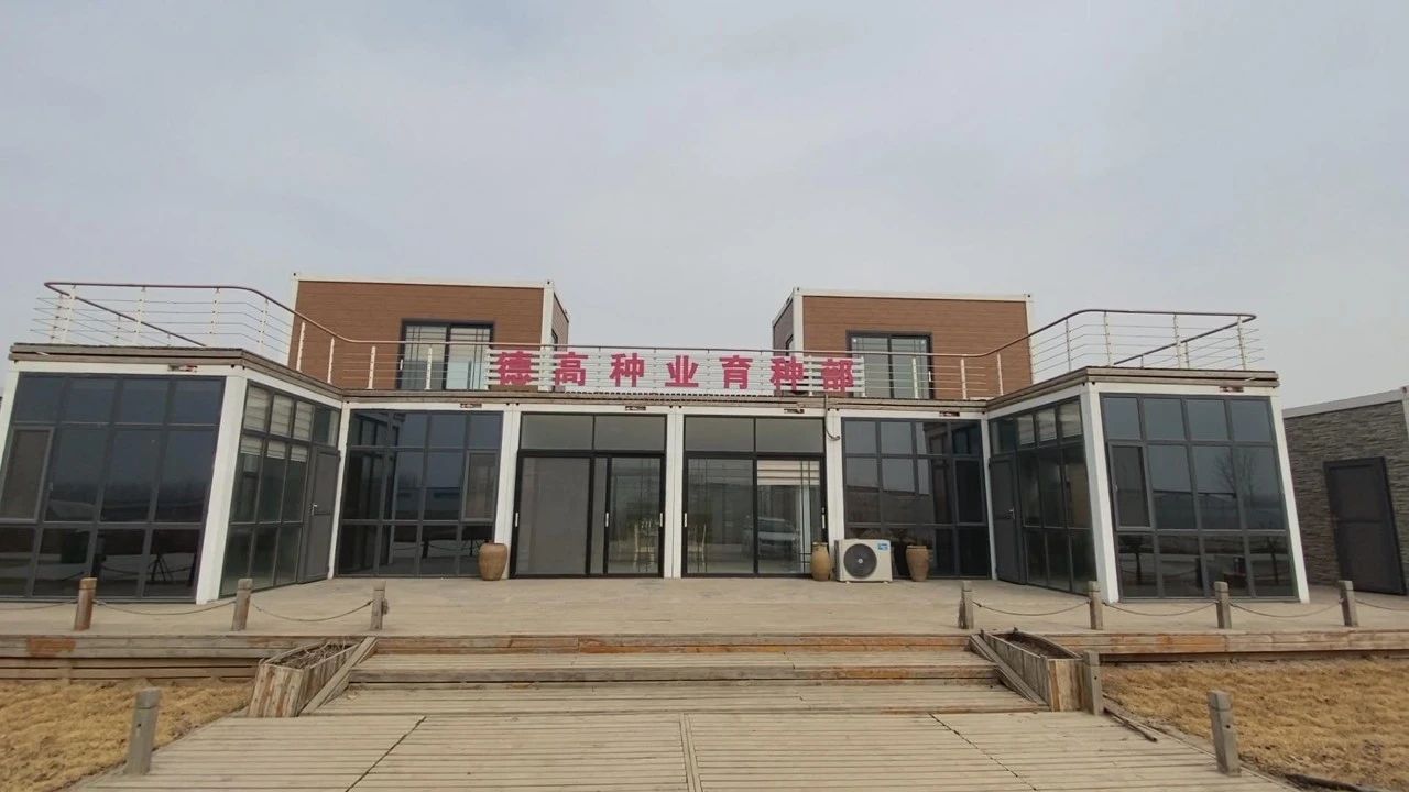 鄉村振興｜德州運河新區：全力推進種業企業高質量發展