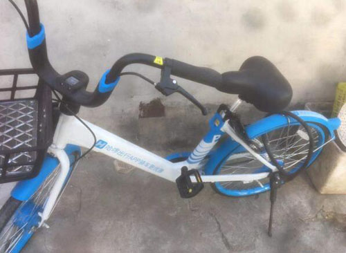 20210201165043394.jpg 3.jpg