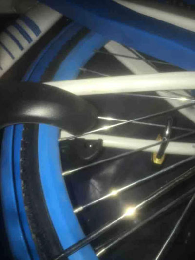 20210201165114818.jpg 5.jpg