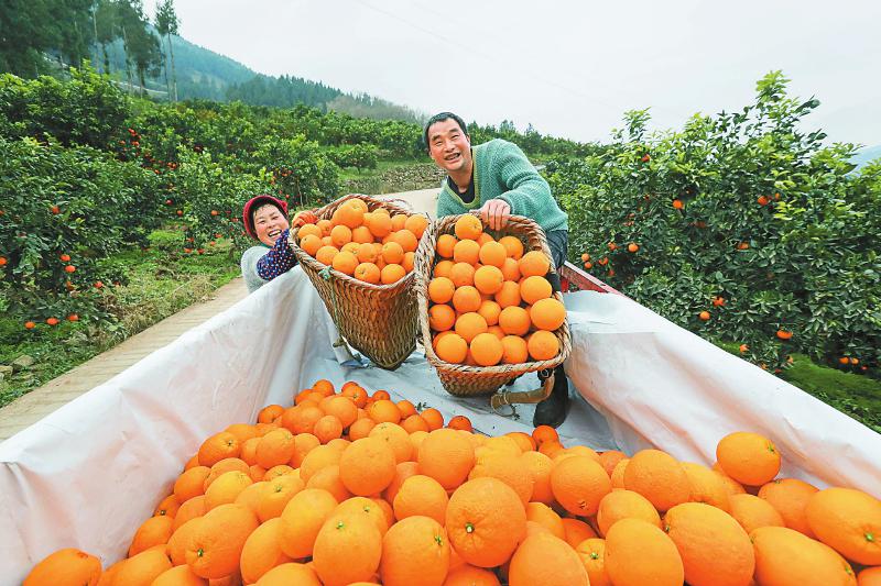 推進脫貧攻堅邁向鄉村振興 四川省明晰路線圖