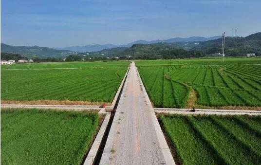 農村土地經營權流轉四問——解析《農村土地經營權流轉管理辦法》亮點