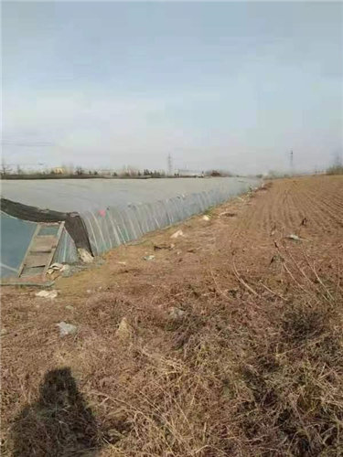 棗莊滕州：一處良田絕產 村民懷疑地下水污染所致