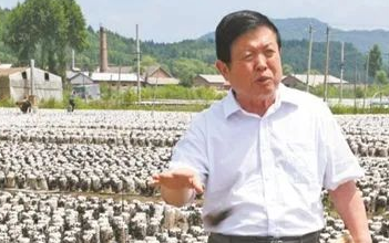 小蘑菇為何能撐起大產業？李玉院士告訴你
