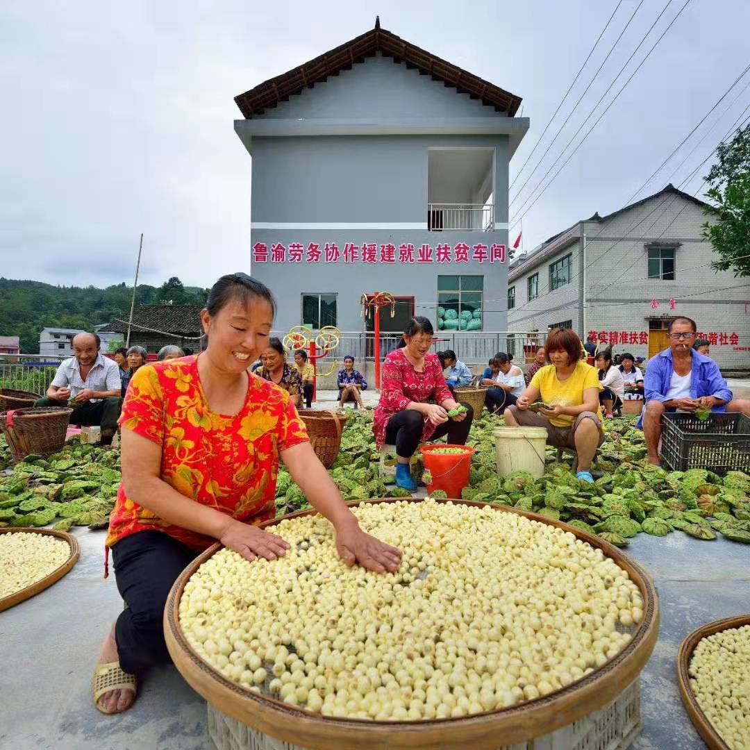 十年心手相牽，千里共赴小康德州市幫扶秀山縣成效綜述