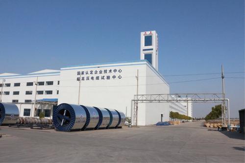 上上核電纜榮登第五批制造業單項冠軍產品榜單