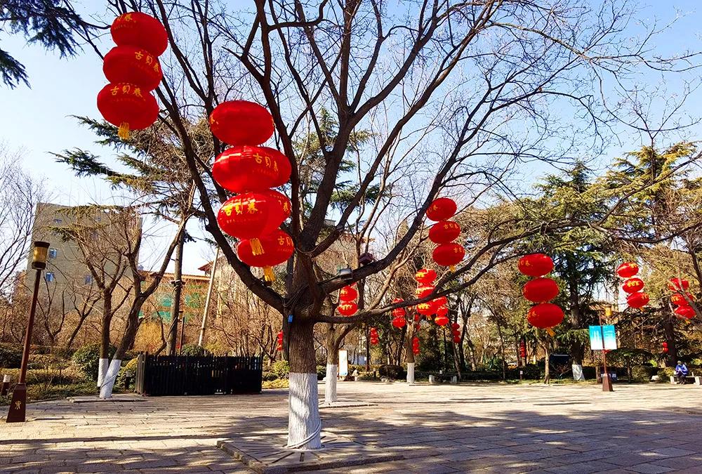 古貝春“紅動山東”，紅紅火火迎新春！