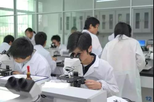 279項成果參與新一輪基礎教育國家級優秀教學成果推廣應用工作