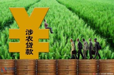 2024年末全國普惠型涉農貸款余額同比增長14.4%