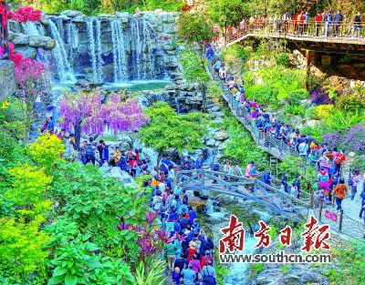 牛年春節黃金周廣東共接待游客3964.3萬人次