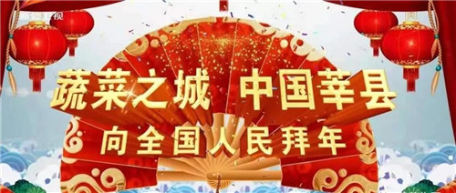“蔬菜之城，中國莘縣”叫響各大衛視，“莘縣蔬菜”品牌邁入新高度