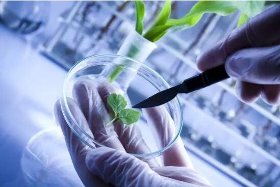 最高扶持5000萬！北京出臺加快合成生物制造產業創新發展措施