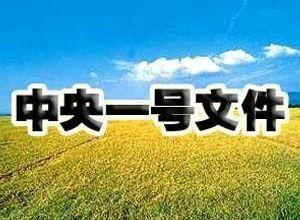 推進鄉村全面振興不斷取得新成效——中央農辦負責人解讀2024年中央一號文件