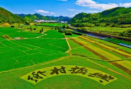 政府工作報告提出：全面實施鄉村振興戰略,促進農業穩定發展和農民增收