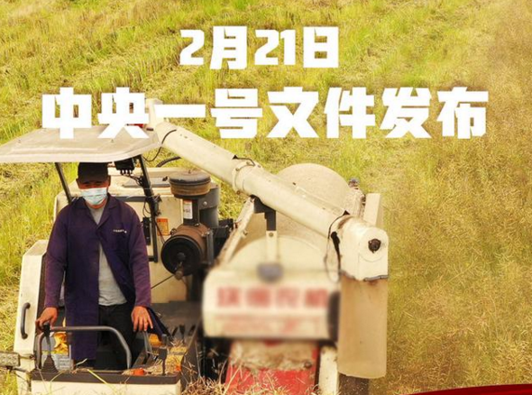 超重磅！2021年中央一號文件發布 關乎所有農產品！