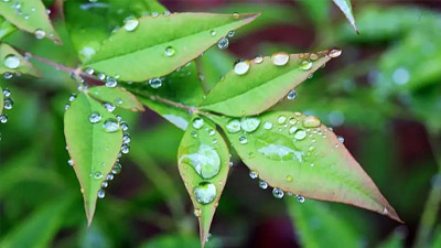 晴好天氣“余額不足” 雨水降溫23日起抵達安徽
