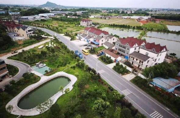 2024年農業農村經濟運行總體平穩 穩中向好