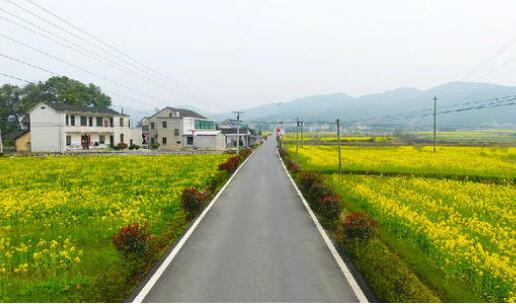 政策支持力度加大 鄉村建設駛入“快車道”
