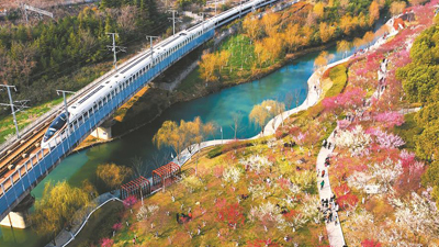 數字背后的春節文旅盛宴