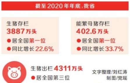 產能恢復顯著 河南生豬和能繁母豬存欄全國“雙第一”