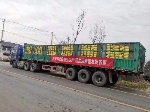 匯通達數字化提升扶貧內生活力 踐行鄉村振興企業擔當與實干