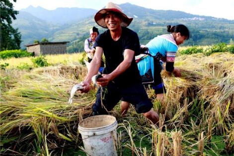 中國經驗助力上合組織國家減貧發展