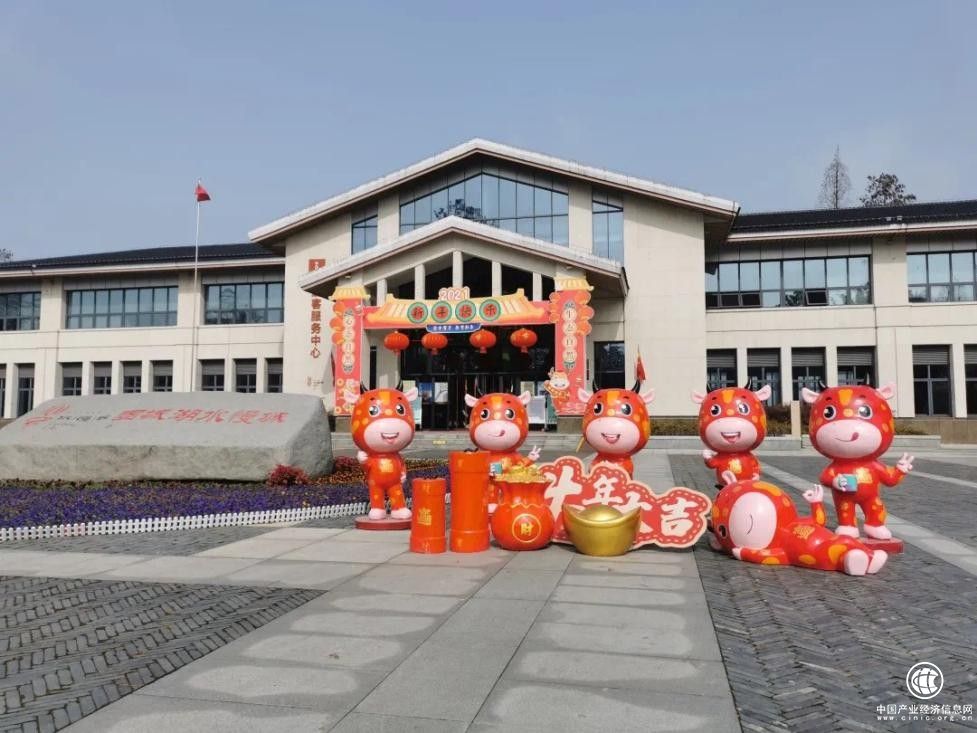南京高淳：慢城新春活動熱鬧非凡，鄉村旅游度假成為春節新時尚