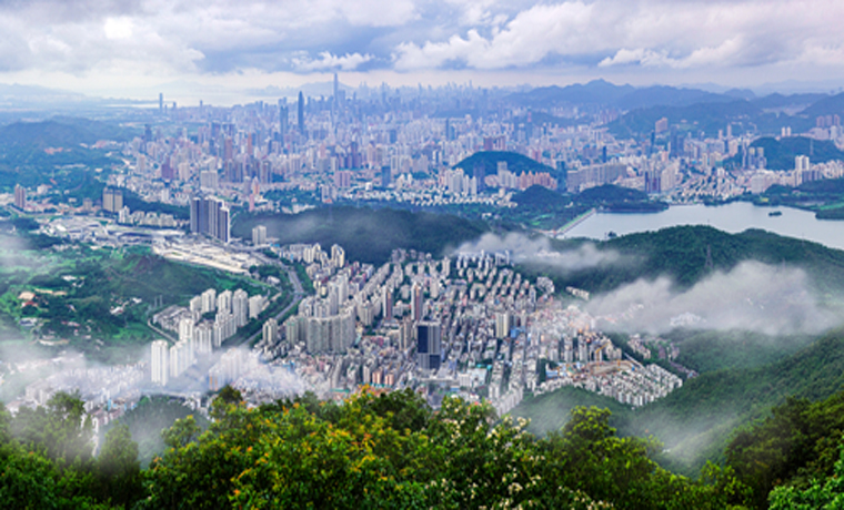 廣東推動競爭政策在粵港澳大灣區先行落地