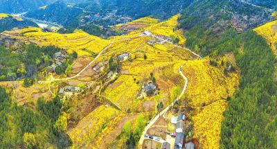 20210309153251923.jpg 7755795587470253080.jpg