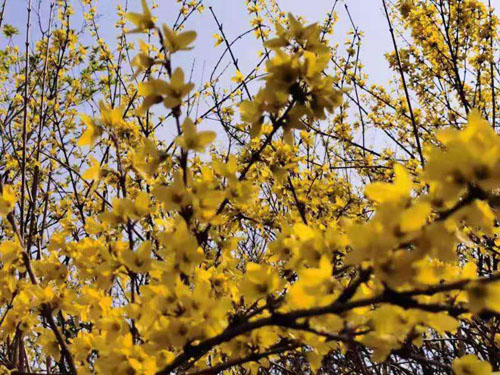 20210311155614894.jpg 2 (1).jpg