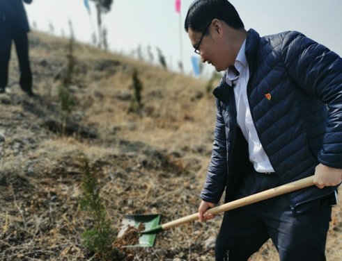 為青山增綠，為黨旗添彩 蒙陰農商銀行機關黨支部開展植樹節主題黨日活動