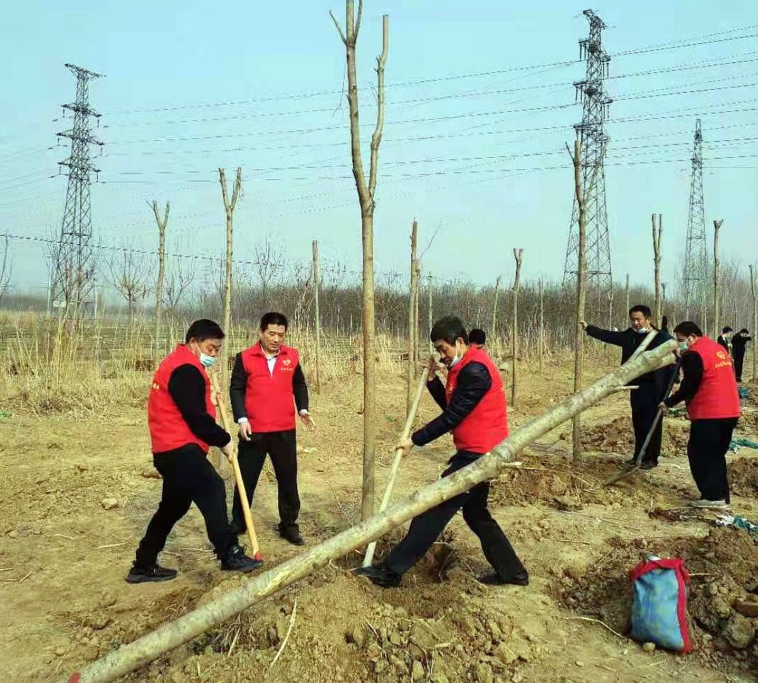 農行慶云縣支行：年年植樹綠大地27年5000棵