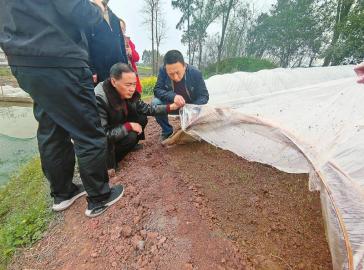 20210312171844467.jpg 17325615370679649892.jpg