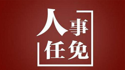 王顯義辭去阜陽市人民政府副市長職務