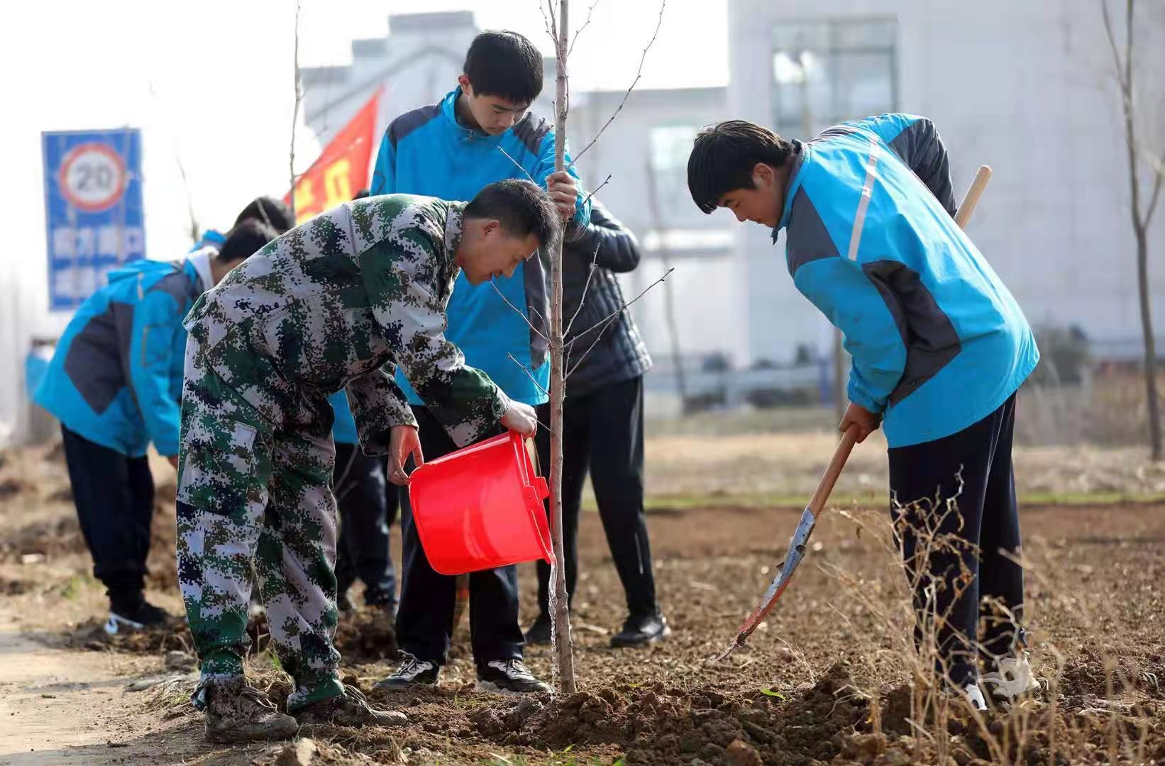 棗莊市臺兒莊馬蘭屯：“迷彩綠”撞上“校服藍”，植樹節我們在行動