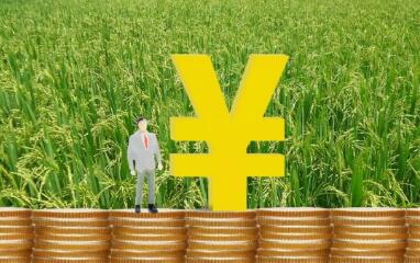 千方百計拓寬農民增收渠道