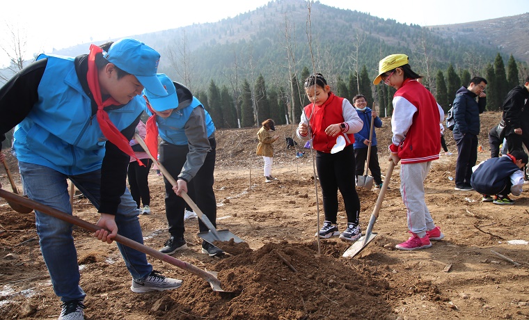 同植一片綠，共享碧水藍天  中建八局二公司設計研究院攜手濟南經五路小學開展義務植樹活動