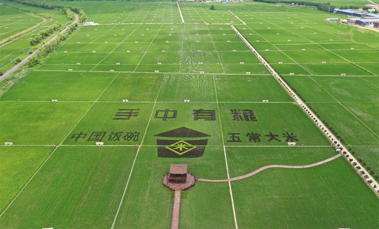 黑龍江：五常喬府大院傾力打造鄉村振興新模式