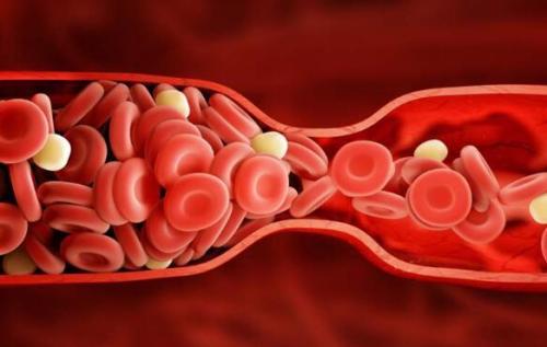 2020年十大健康謠言，你聽過幾條？