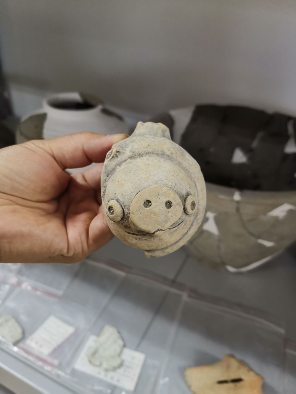 20210322090156428.jpg 1127235555_16162443876611n.jpg