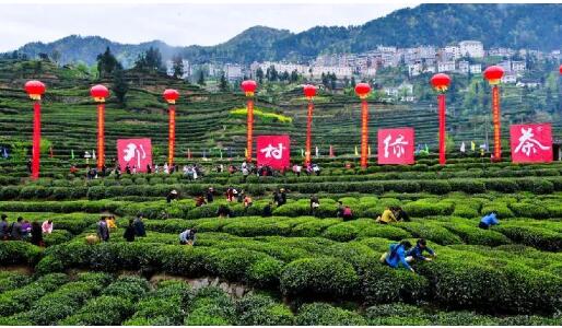 文化和旅游部：扎實推進文化和旅游賦能鄉村振興