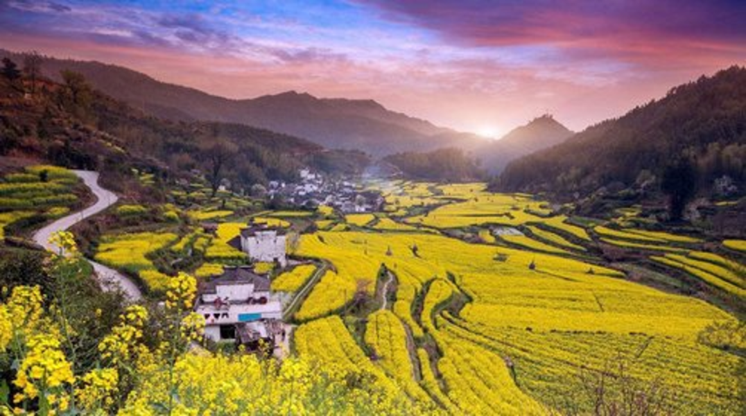 在路上，我和春天有個約會