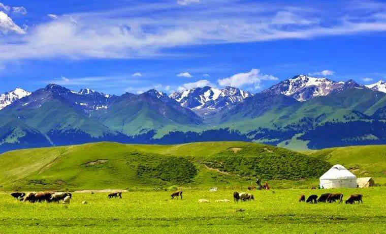 旅游平臺新疆搜索量一天漲近三倍