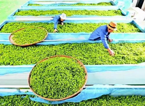 十一部門聯合發布《關于培育傳統優勢食品產區和地方特色食品產業的指導意見》