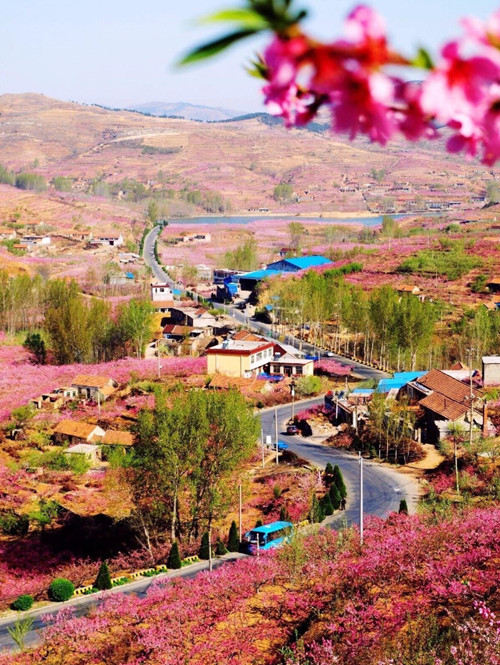 ?岱崮地貌第十六屆桃花旅游文化節之臨沂市首屆美麗岱崮攝影大賽正式啟動