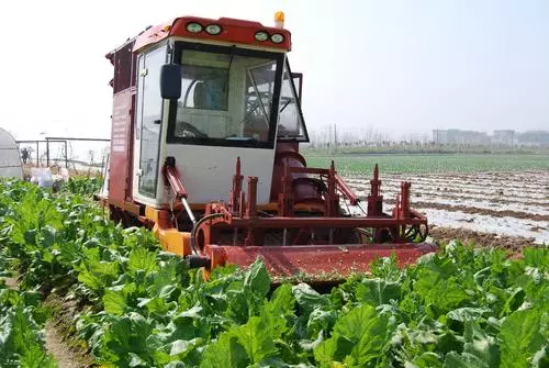 重慶農科院研發成功國內首臺榨菜聯合收割機
