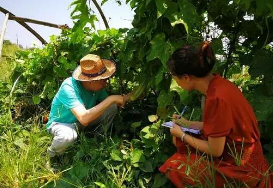 成都持證農業職業經理人超2萬 80后、90后占三成