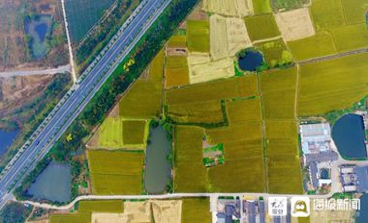 山東省級財政安排超140億資金保障春耕生產