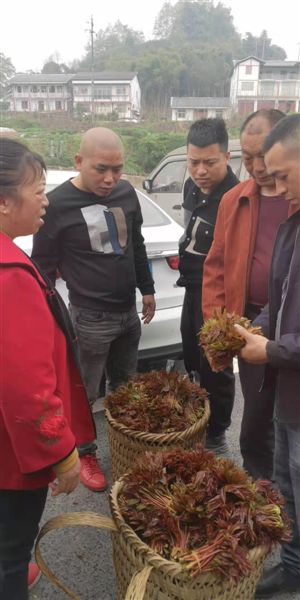 20210329155058901.jpg 638736902822500340.jpg