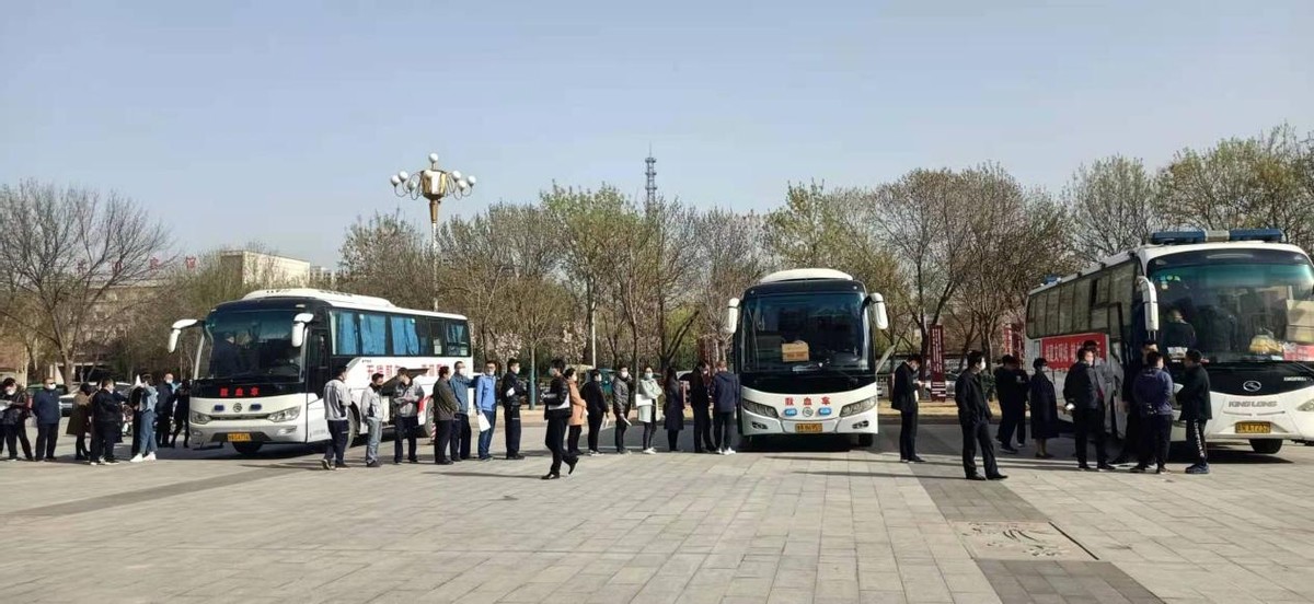 為愛獻血，奉獻社會——齊河縣組織開展無償獻血活動