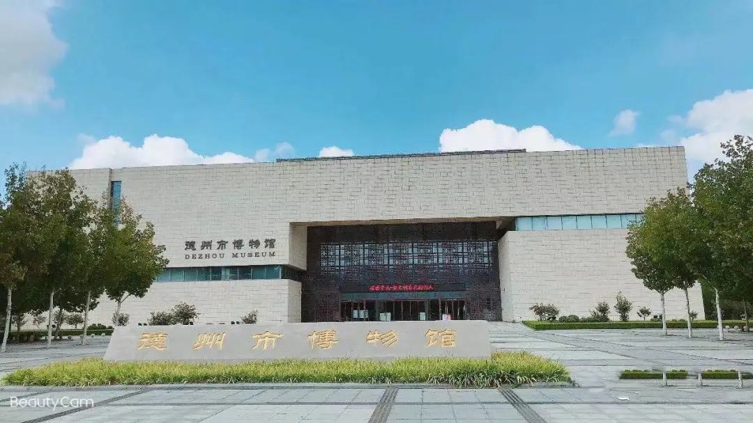 納新！德州市博物館公開招募30名志愿者 | 報名截至5月1日